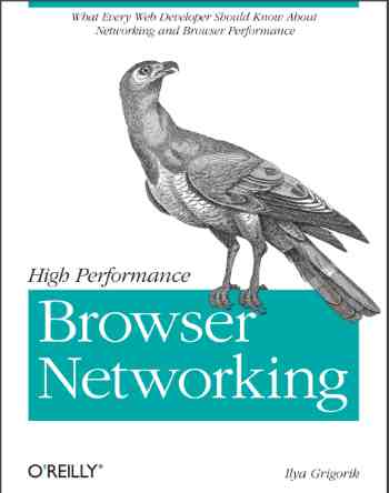 High Performance Browser Networking