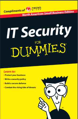 IT Security For Dummies