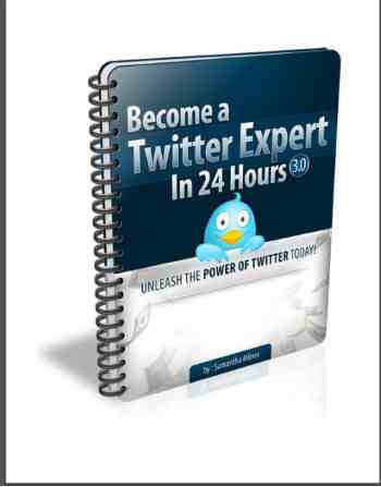 Become A Twitter Expert In 24 Hours